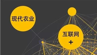 農(nóng)業(yè)互聯(lián)網(wǎng)掘金時(shí)代，數(shù)據(jù)服務(wù)商扮演“賣水人”角色